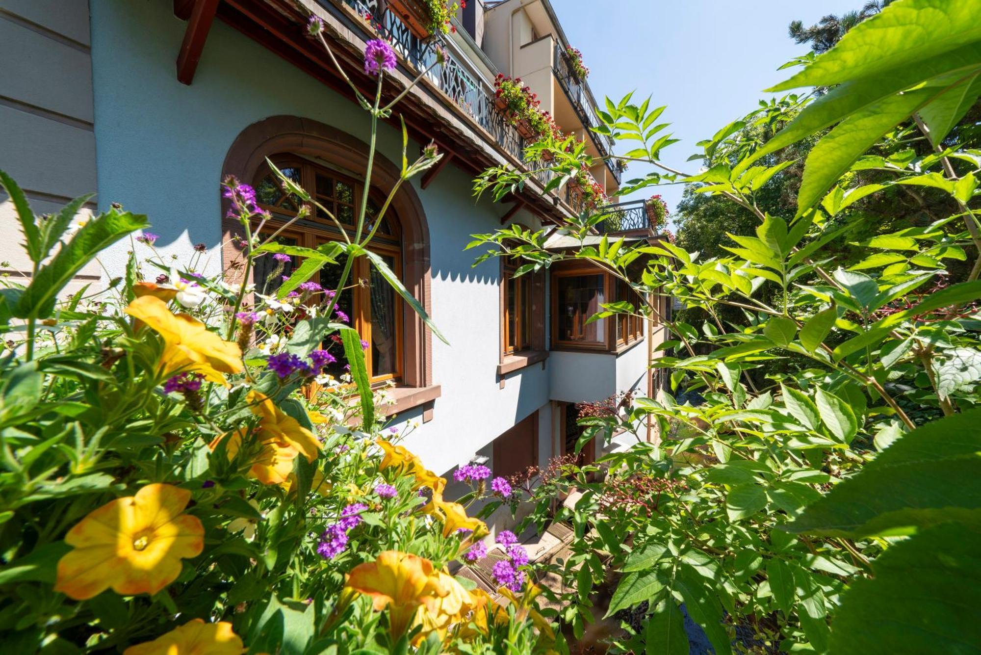 Hotel Du Parc, Restaurant, Spa & Wellness Niederbronn-les-Bains Exterior photo